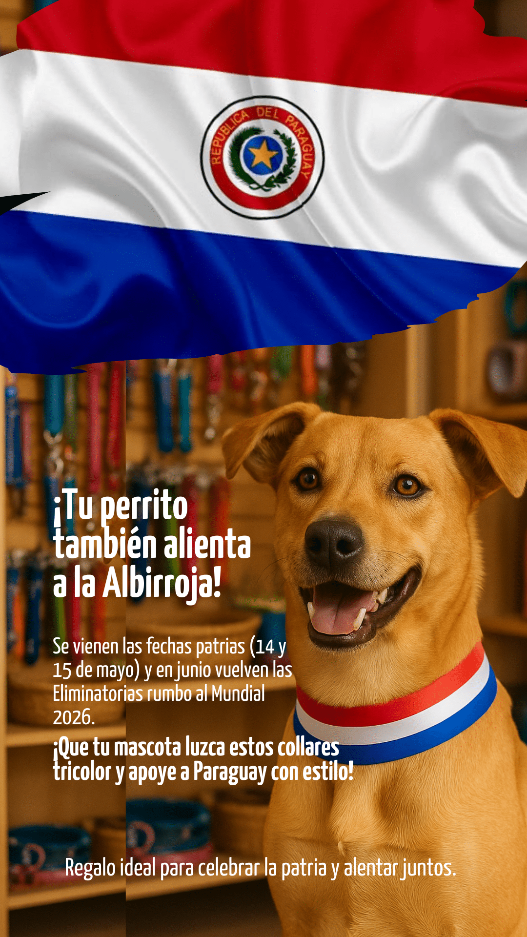 Collar para perro número 1 - Imagen 4
