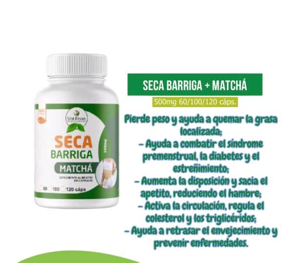 SECA BARRIGA + MATCHA