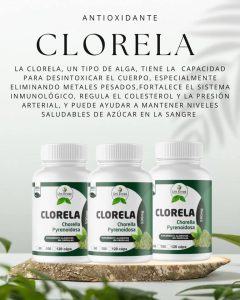 Potente desintoxicante de metales pesados. Fortalece el sistema inmunológico. Regula el colesterol y la presión arterial. Ayuda a mantener niveles saludables de azúcar en la sangre.