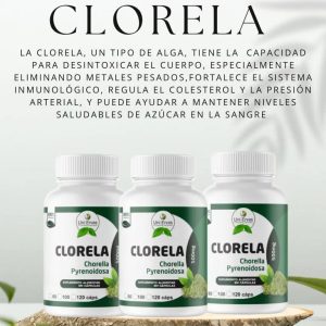 Potente desintoxicante de metales pesados. Fortalece el sistema inmunológico. Regula el colesterol y la presión arterial. Ayuda a mantener niveles saludables de azúcar en la sangre.