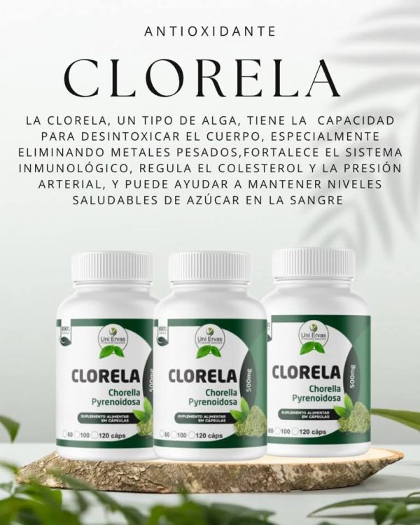 Potente desintoxicante de metales pesados. Fortalece el sistema inmunológico. Regula el colesterol y la presión arterial. Ayuda a mantener niveles saludables de azúcar en la sangre.