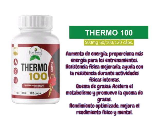 THERMO 100