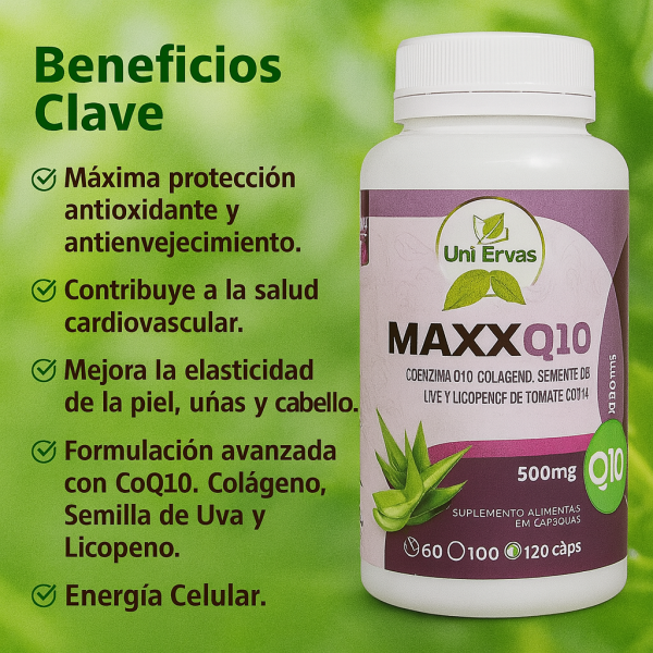MAXX Q10 DE 60 CAPSULAS