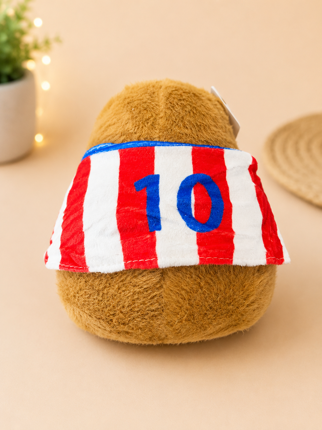 PELUCHE CAPIBARA REMERA PARAGUAY 22CM - Imagen 3